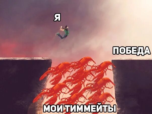 тиммейты проджект. проджект зомбоид 41. тиммейты проджект. мем про тиммейта. проджект зомбоид депрессия.