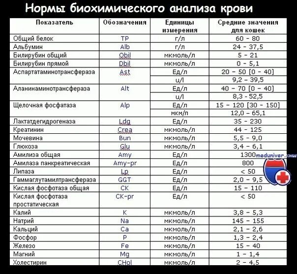 Что показывает общий белок в анализе крови. Биохимия крови расшифровка. Биохимические показатели крови схема. Биохимия анализ крови норма. Обозначения биохимических показателей крови.