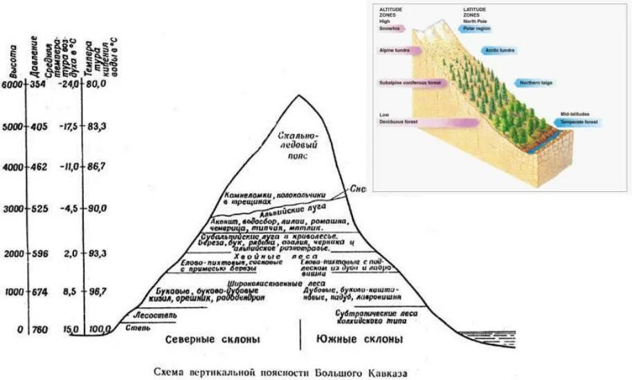 Природные пояса гор урала