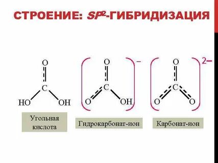 Гибридизация кислот