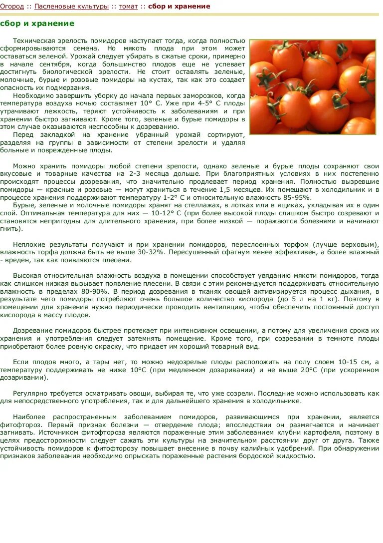 Помидор сколько держит. Когда можно давать помидор грудничку. Когда можно давать ребенку помидоры свежие. Когда ребенку можно вводить помидоры. Как убирать помидоры.