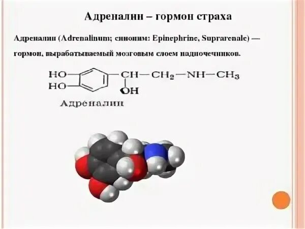 Описание гормона адреналин