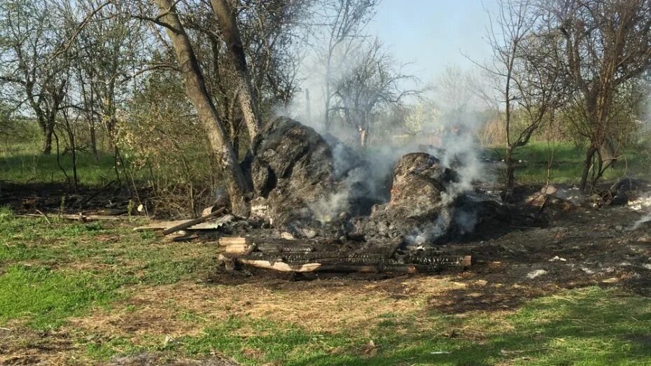 Погода в мамоновке. Село Мамоновка Верхнемамонского района Воронежской области. Школа Мамоновка Верхнемамонский район. Лозовое Верхнемамонского района. Культура села Мамоновка Воронежской области.