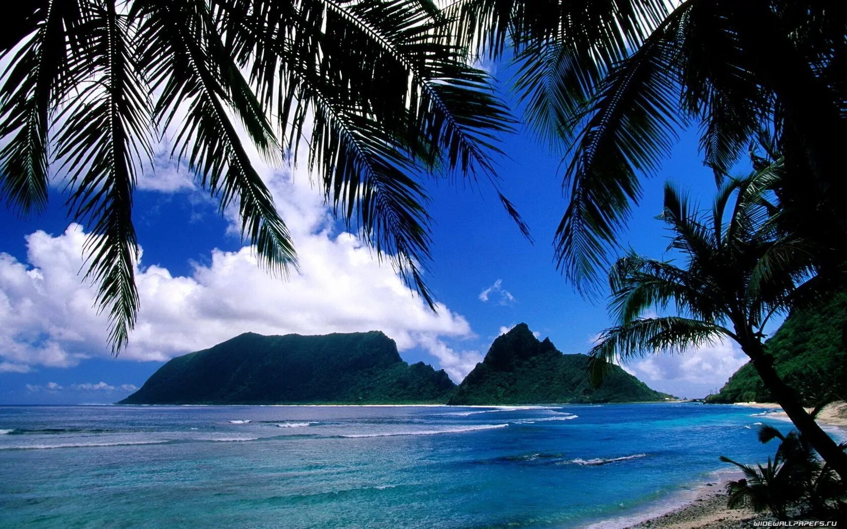 Айланд о Самоа. Офу американские Самоа. Американское Самоа остров Офу. Сент-Китс и Невис пальмы.
