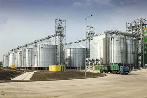 Курск зерно