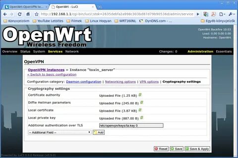 Файл для openvpn