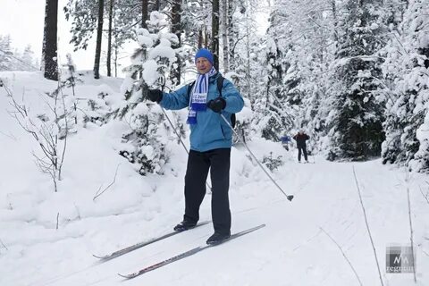 Лыжная стрела кассир