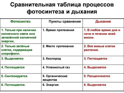 Процесс синтеза и дыхания у растений - красивые картинки и обои на рабочий стол