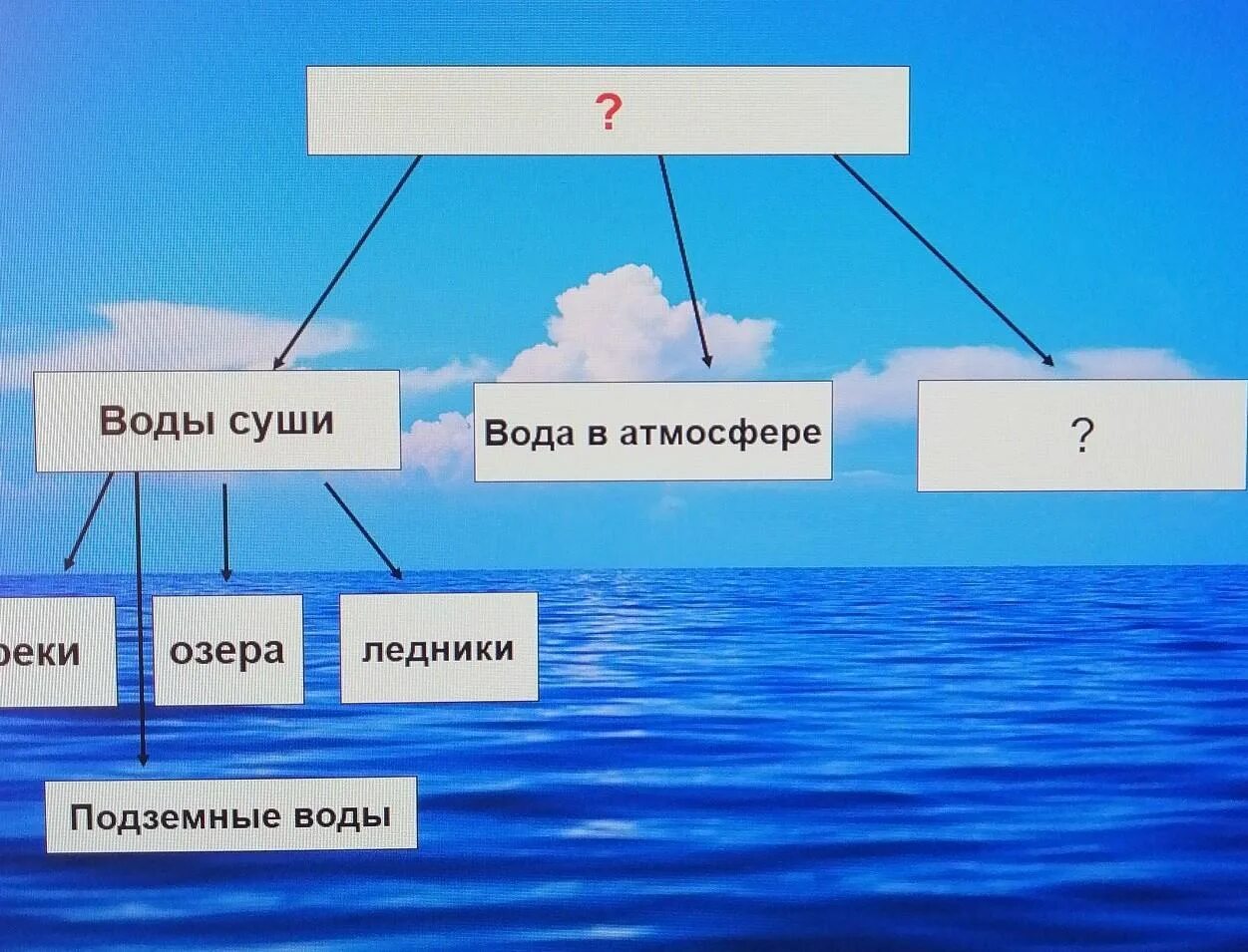 К морям мирового океана относятся