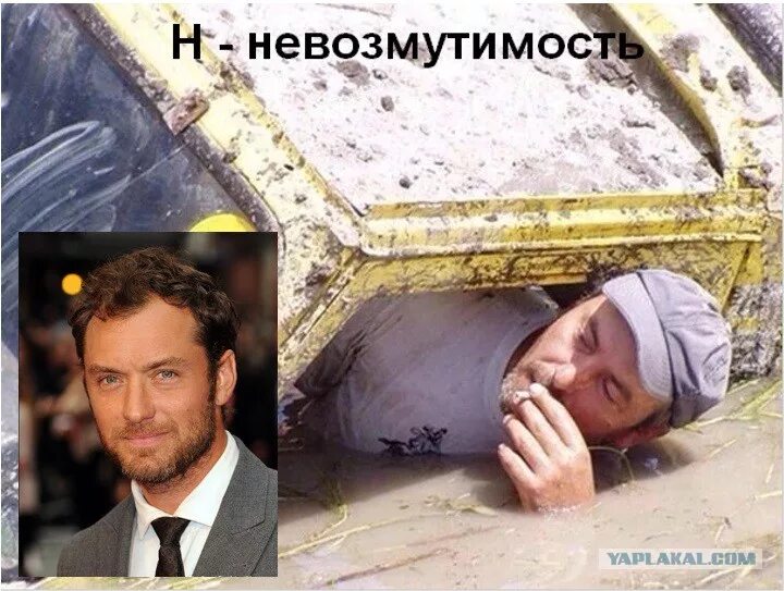 Невозмутимая насмешка