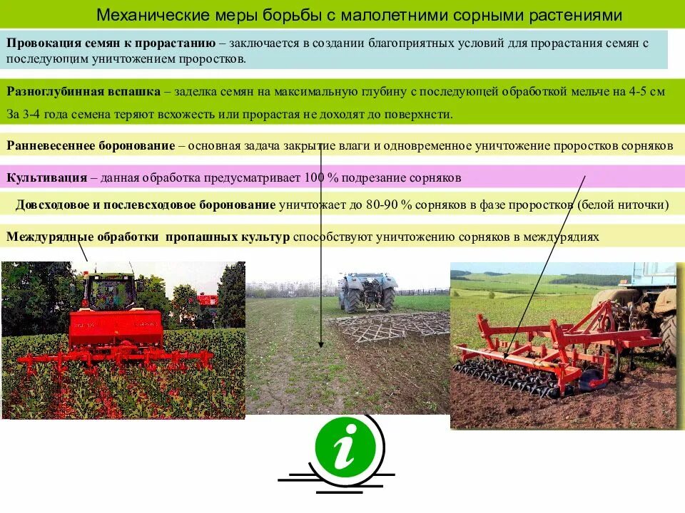 Агротехнические меры борьбы с сорняками. Мероприятия по борьбе с сорняками. Меры борьбы с сорняками в посевах. Способы борьбы с сорными растениями.