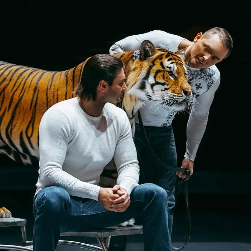 братья запашные аскольд. имена братьев запашных дрессировщиков. дрессировщики братья запашные. братья запашные. запашные братья где сейчас.