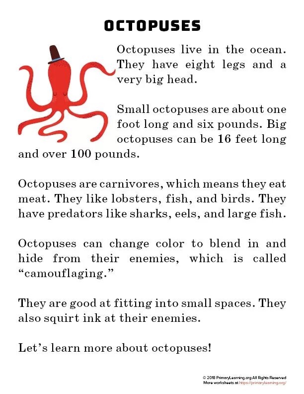 Reading for Kids about Octopuses. Octopus reading for Kids.