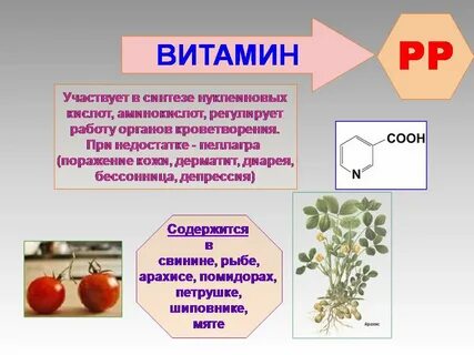 Витамин пп