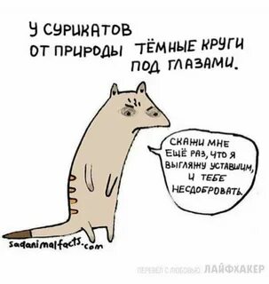 Милые факты