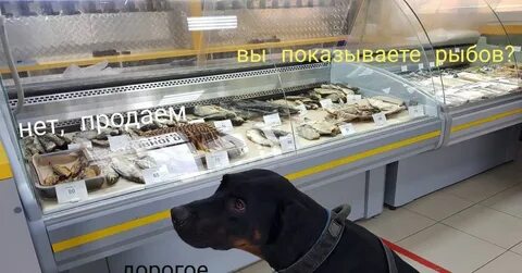 Рыбом продаете