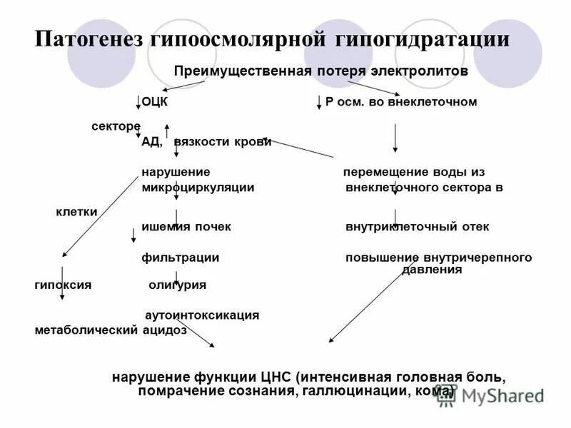 механизмы развития гиперосмолярной гипогидратации. гипоосмолярная гипогидратация. патогенез гипогидратации. механизм развития изоосмолярной гипергидратации. патогенез гипогидратации.