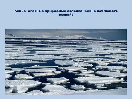 Движение льда