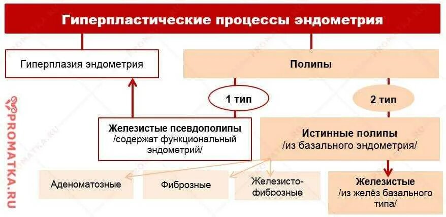 Гиперплазия эндометрия народное лечение. Гиперпластические процессы эндометрия схема. Схема лечения железистой гиперплазии эндометрия. Классификация полипов матки. Типы гиперплазии эндометрия.