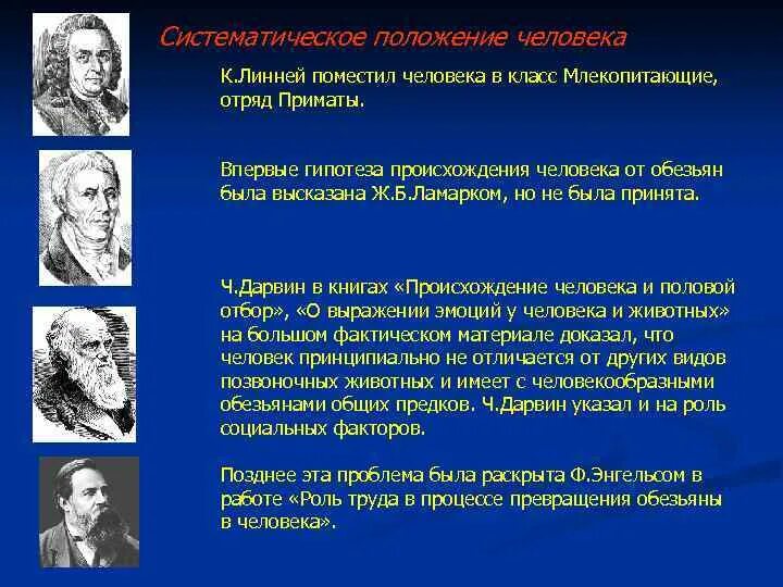 Соответствие между ученым и теорией. Линней гипотеза о происхождении человека. Место происхождения человека. Представления о происхождении человека. Происхождение человека систематическое положение человека.