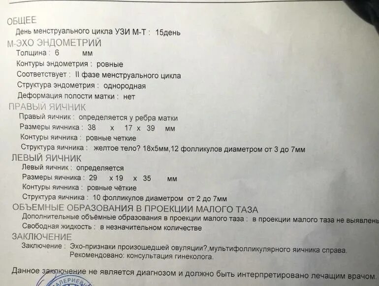 Эндометрий на узи по дням цикла. Ультразвуковое исследование органов малого таза при беременности. Узи матки на 10 день цикла. Узи органов малого таза на 5-7 день цикла. Протокол узи эндометриоз матки.