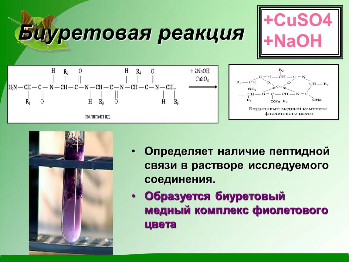 Биуретовая реакция с трипептидом. Цветные реакции белков ксантопротеиновая реакция. Биуретовая реакция это качественная реакция на. Белок щелочь сульфат меди. Белок щелочь сульфат меди.