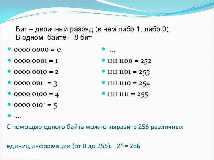 Число двоичных разрядов 8