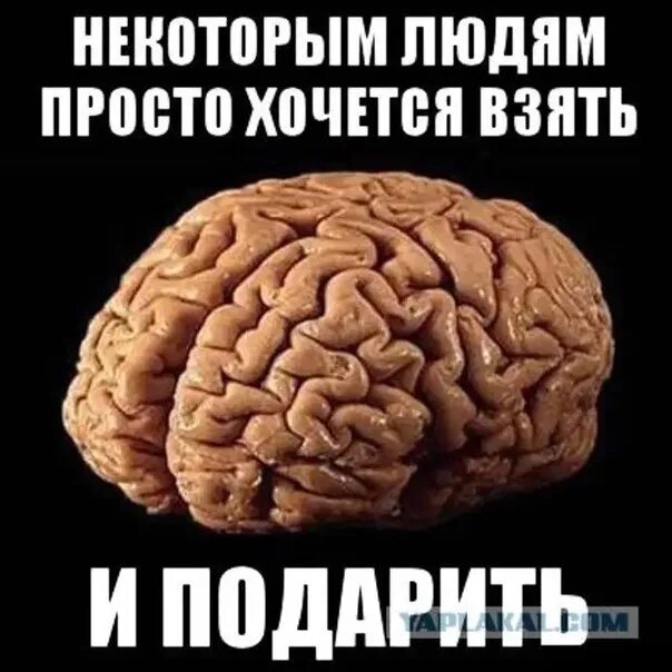 Опасно есть мозги. Мозг в подарок. Дарю мозг. Мозг потерялся. Мозг прикол.