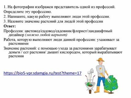 Напишите какую работу выполняют люди