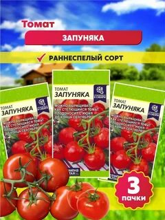 Запуняка томат характеристика и описание сорта фото