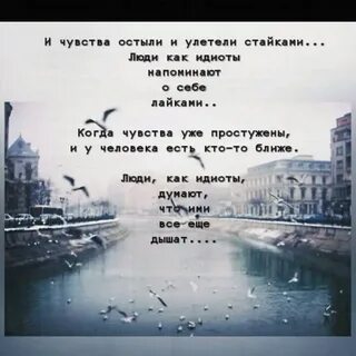 Остались ли чувства