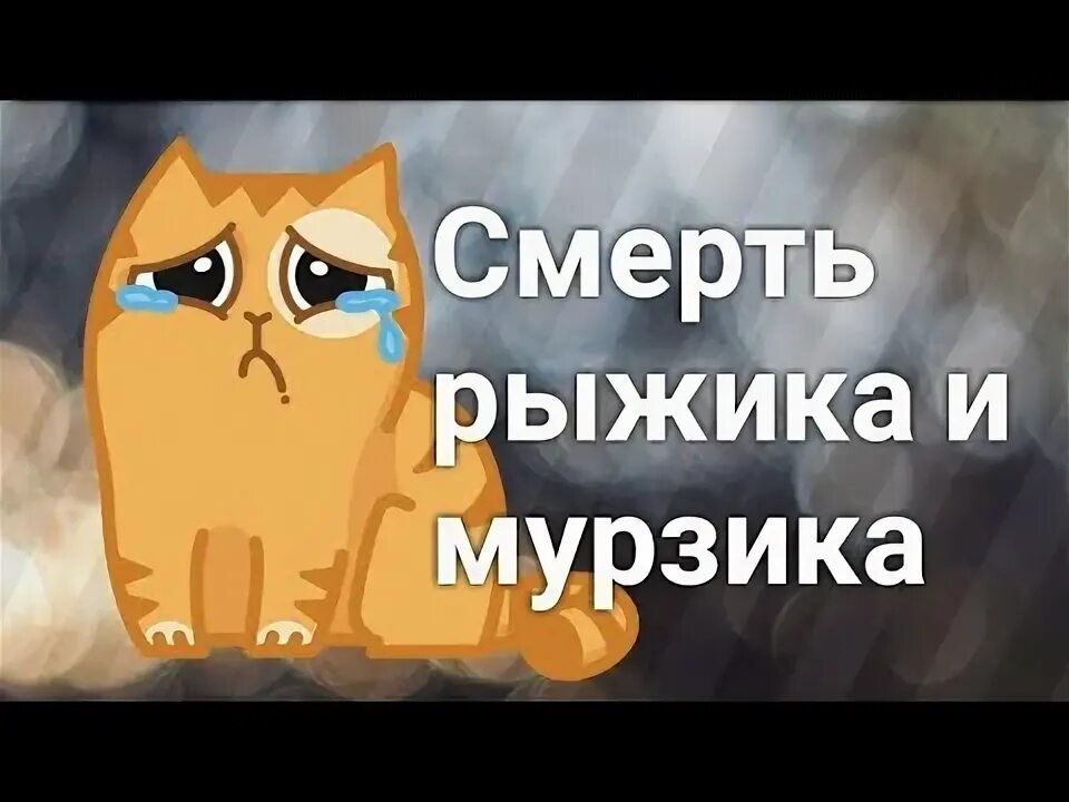 Кошка Мурзя а ну ка давайка. А ну ка давайка Рыжик. Кот Рыжик из Анука давайка. Рыжик с канала а ну ка давай ка. Канал рыжик