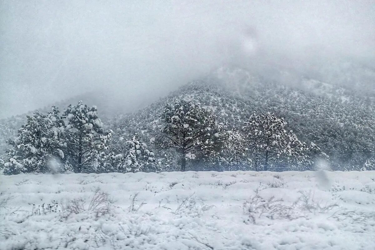 Метель фото. Снег на Сахалине. Снег метель март. Метели башкирия