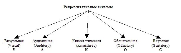 Репрезентативные системы восприятия информации. Репрезентативные системы нлп. схема типы репрезентативных систем. репрезентативные системы человека. репрезентативные системы в психологии.