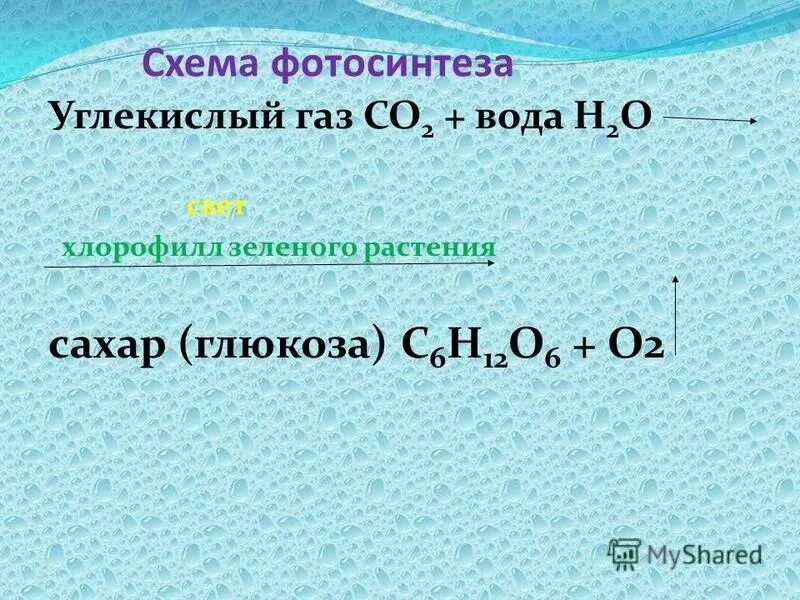Глюкоза углекислый газ вода. Углекислый ГАЗ И вода. Вода плюс углекислый ГАЗ уравнение фотосинтеза. Углекислый ГАЗ И вода уравнение. Диоксид углерода и вода.