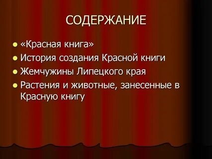 Презентация красная