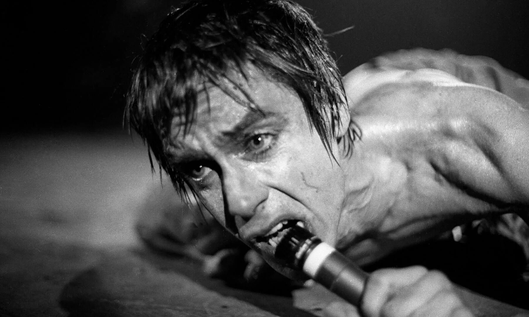 Iggy pop песни. Игги поп. Игги поп 1990. Iggy Pop 1977. Игги поп 1978.