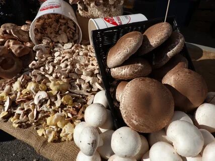 Какой продукту грибы