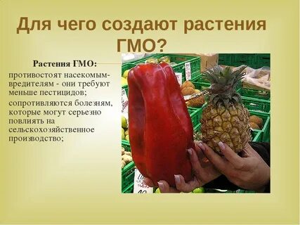 Примеры гмо