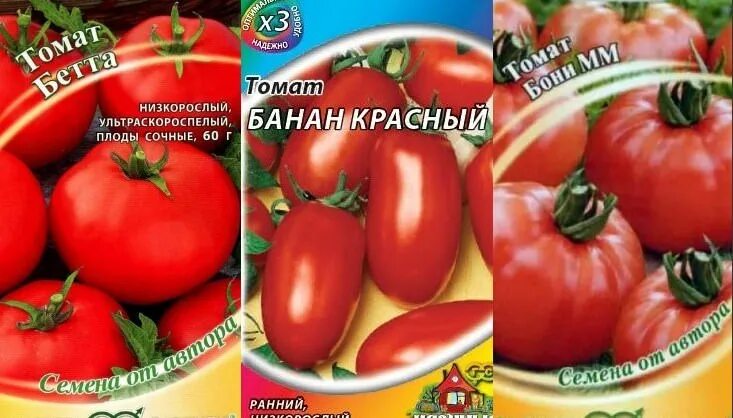 Семена низкорослых помидоров купить. Томат Непасынкующийся крупноплодный. Помидоры сорт не посынкуещееся. Семена томатов непасынкующиеся низкорослые. Томат раннеспелый Непасынкующийся раннеспелый.