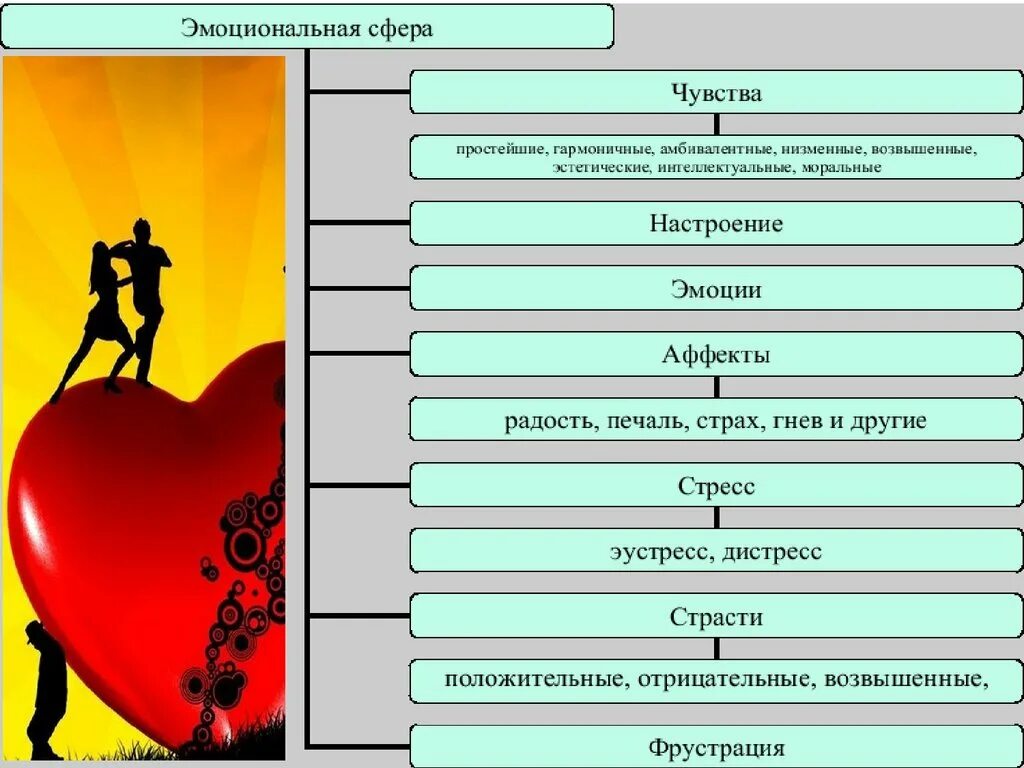 Сфера ощущений