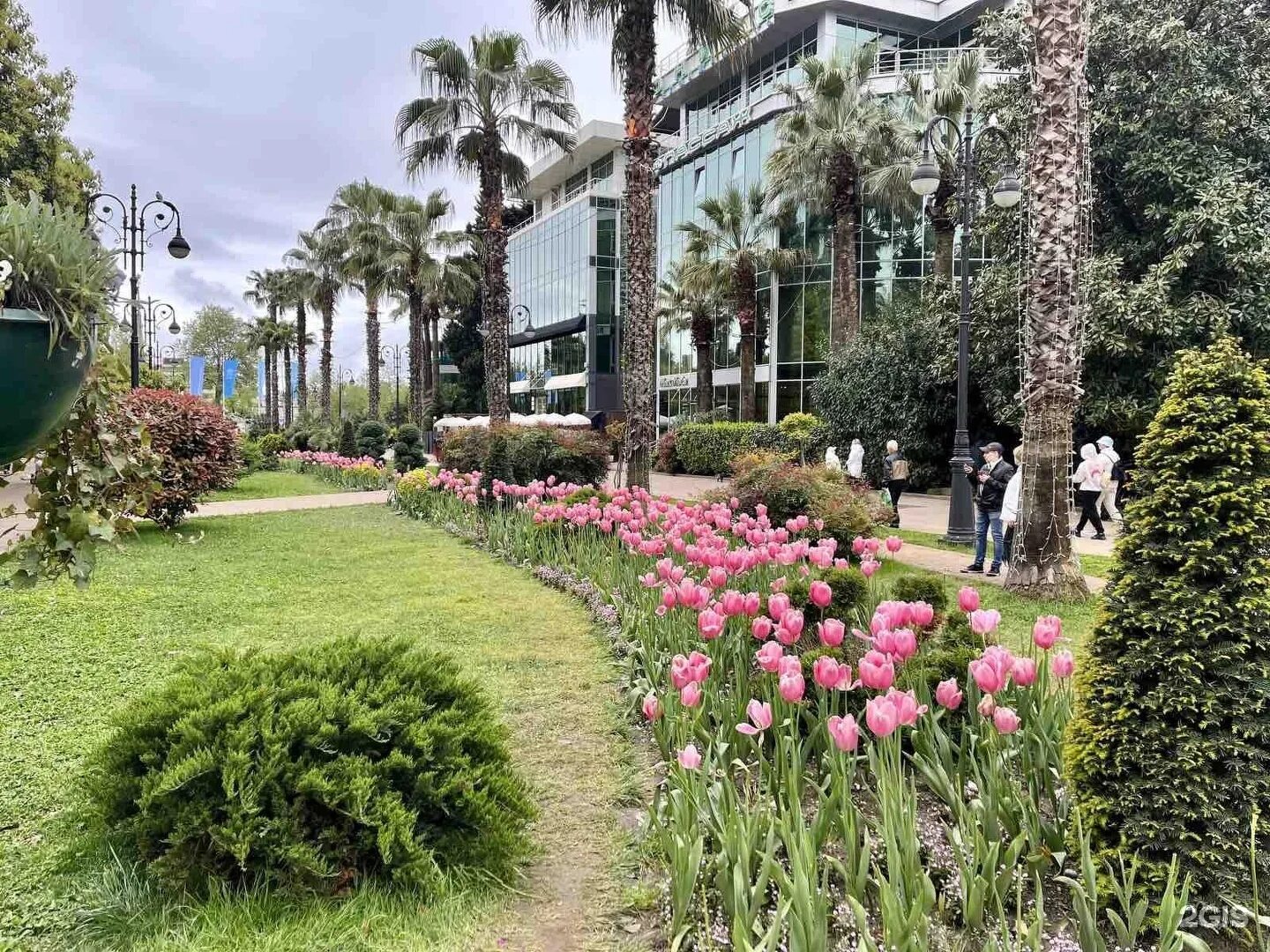 Сочи апарт навагинская. Навагинская сочи. апарт-отель insochi.
