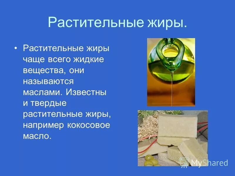 растительные жиры. растительный и животный жир. растительные и животные жиры. растительные жиры. жиры ратсительногопроисхождения.