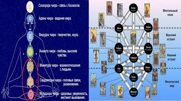 Дерево Сефирот и арканы Таро. Старшие арканы на древе Сефирот. Древо Сефирот и чакры человека. Дерево Сефирот Моносов.