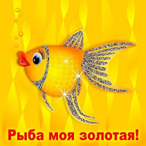 Милые рыбки. Рыбка очень мило песня. Люблю тебя моя рыбка. Самые красивые и милые рыбки. Рыбка очень мило песня.