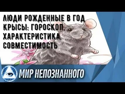 Рожденные в год крысы