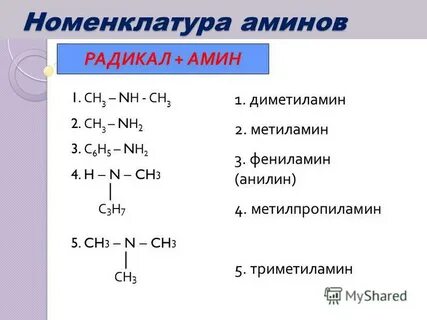 Амин радикал