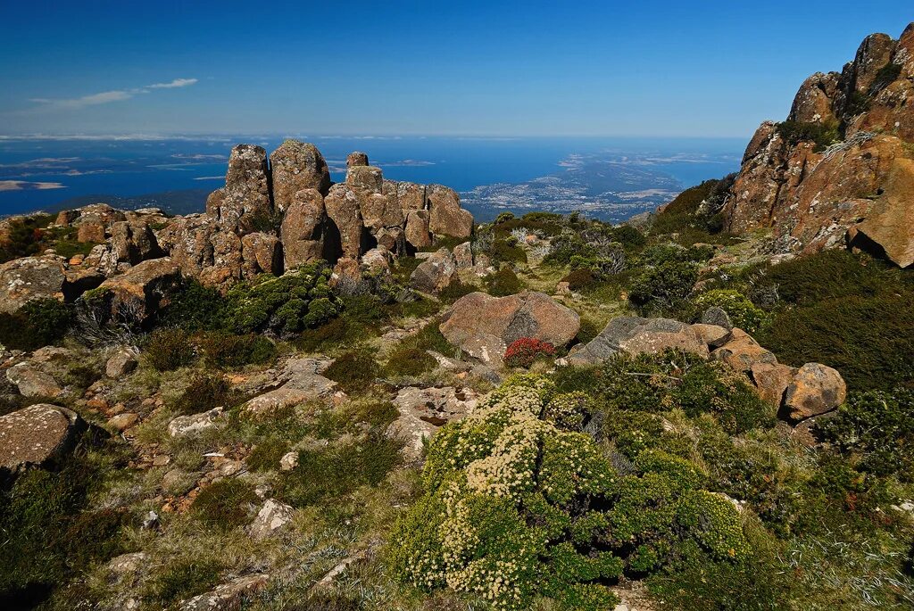 остров тасмания австралия. тасмания курорты. национальный парк фрейсине (австралия). остров тасмания. остров тасмания австралия природа.