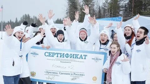 Молодая арктика