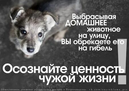 Спасти чужую жизнь